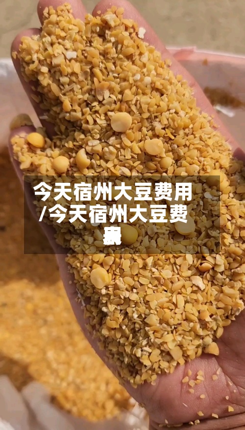 今天宿州大豆费用/今天宿州大豆费用表-第3张图片