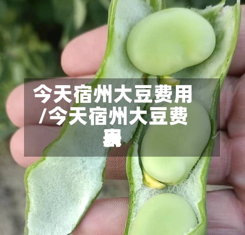 今天宿州大豆费用/今天宿州大豆费用表-第2张图片