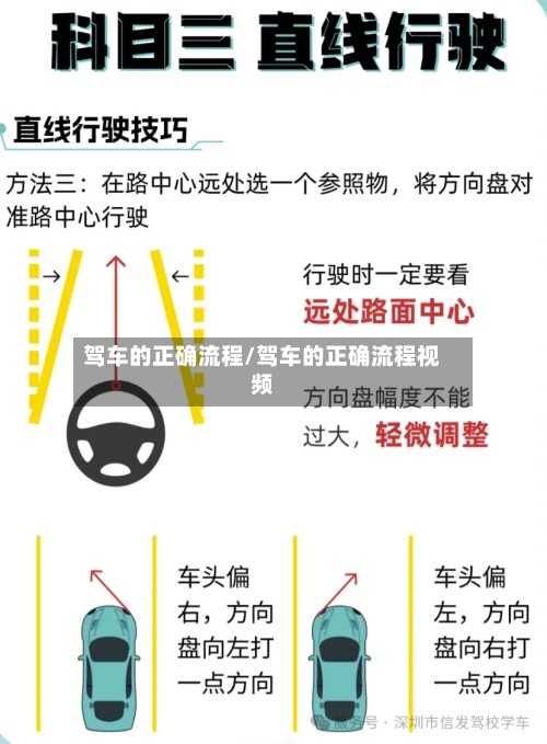 驾车的正确流程/驾车的正确流程视频