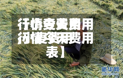 【小麦费用行情今天费用,小麦费用行情今天费用表】-第2张图片