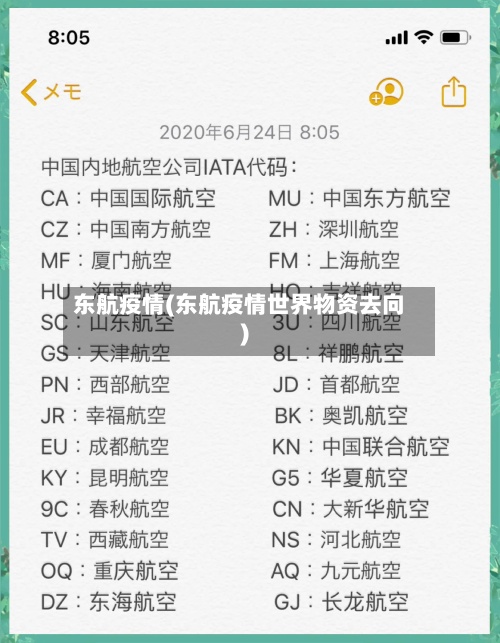 东航疫情(东航疫情世界物资去向)