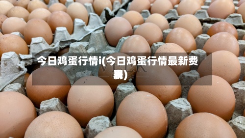 今日鸡蛋行情i(今日鸡蛋行情最新费用表)-第2张图片