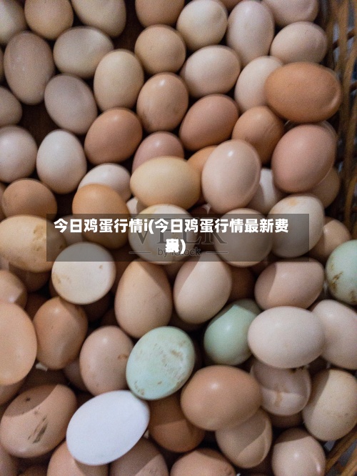 今日鸡蛋行情i(今日鸡蛋行情最新费用表)-第3张图片
