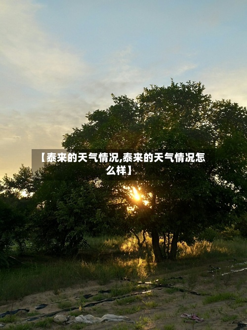 【泰来的天气情况,泰来的天气情况怎么样】-第2张图片