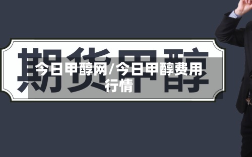 今日甲醇网/今日甲醇费用行情-第2张图片