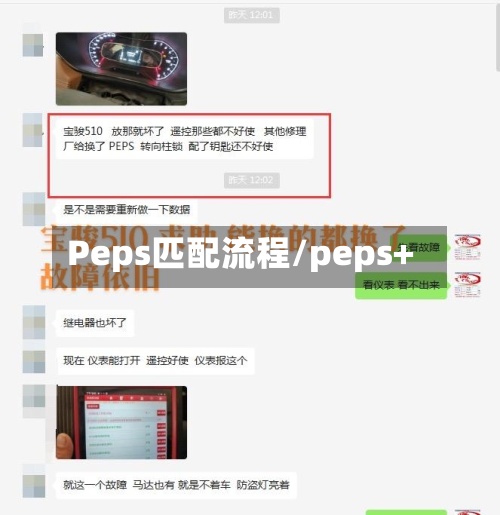 Peps匹配流程/peps+-第2张图片
