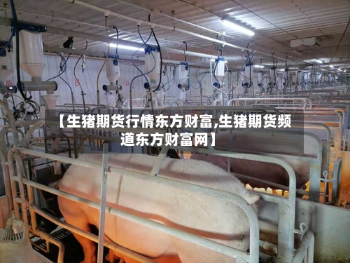 【生猪期货行情东方财富,生猪期货频道东方财富网】-第2张图片