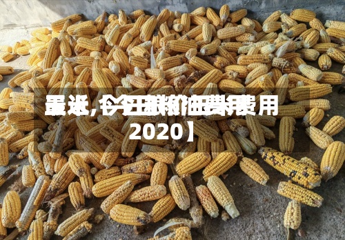 最近【今日粮油费用玉米,今日粮价玉米费用2020】-第2张图片