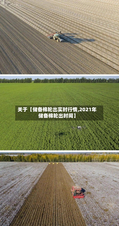 关于【储备棉轮出实时行情,2021年储备棉轮出时间】-第2张图片