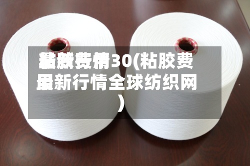 粘胶费用最新行情30(粘胶费用最新行情全球纺织网)-第2张图片