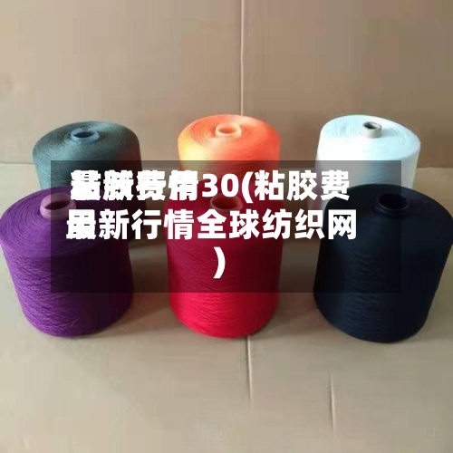 粘胶费用最新行情30(粘胶费用最新行情全球纺织网)