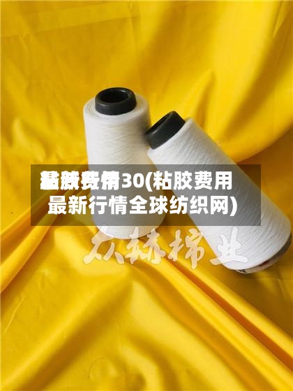 粘胶费用最新行情30(粘胶费用最新行情全球纺织网)-第3张图片