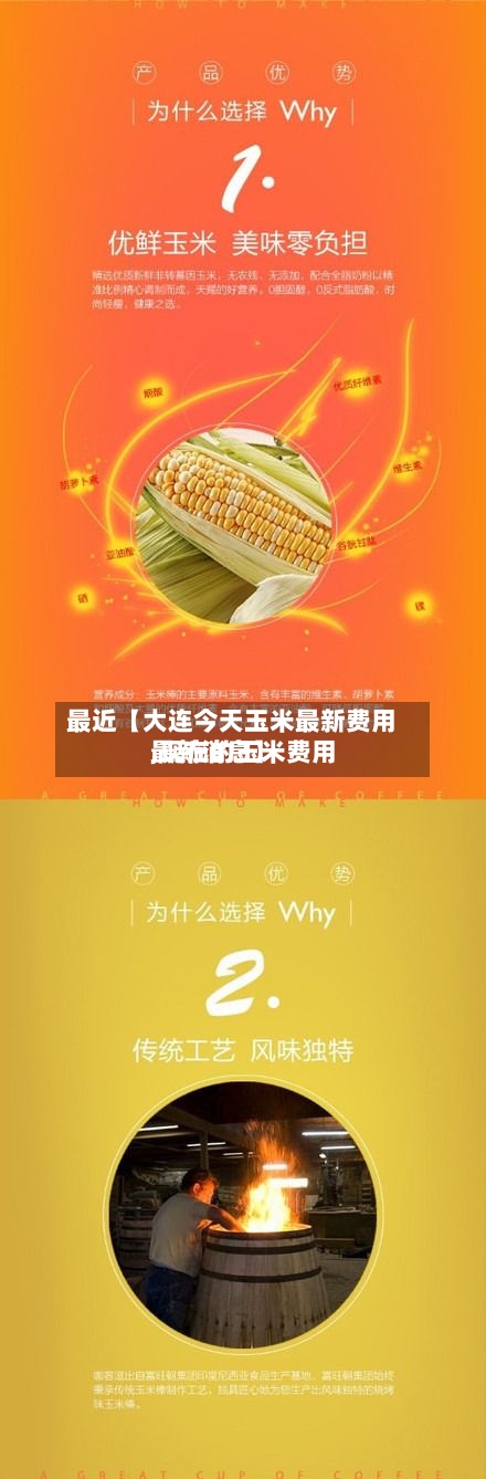 最近【大连今天玉米最新费用,现在的玉米费用最新消息】