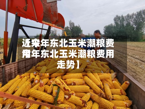近来【今年东北玉米潮粮费用今年东北玉米潮粮费用走势】