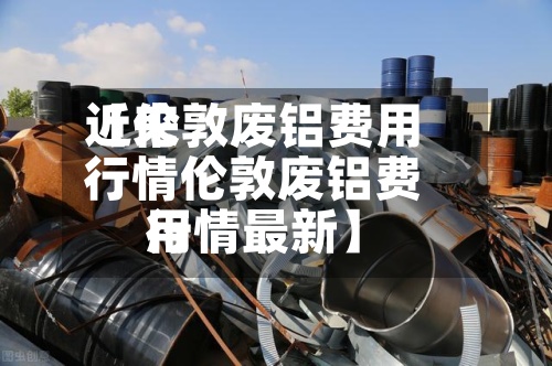 近来【伦敦废铝费用行情伦敦废铝费用行情最新】-第2张图片