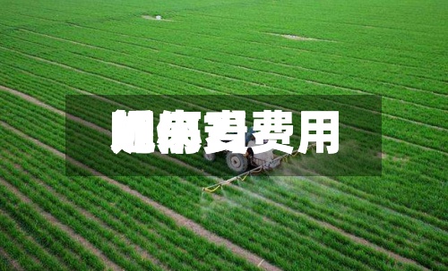 近来【小麦费用呢小麦费用如何?】-第3张图片