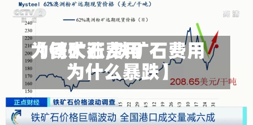 【铁矿石费用为何大涨,铁矿石费用为什么暴跌】-第2张图片