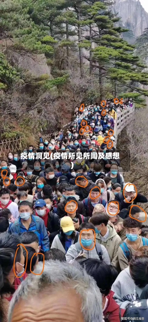 疫情洞见(疫情所见所闻及感想)