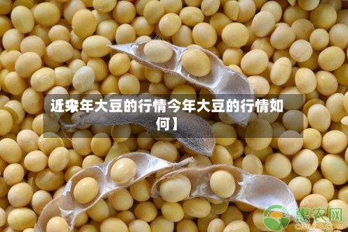 近来
【今年大豆的行情今年大豆的行情如何】-第3张图片