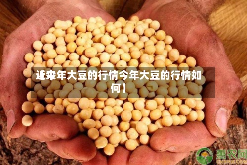 近来【今年大豆的行情今年大豆的行情如何】