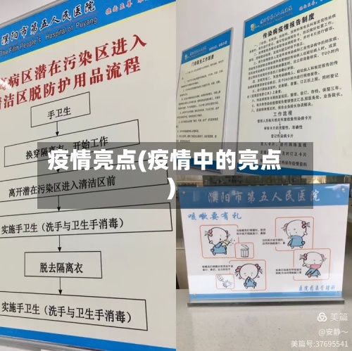 疫情亮点(疫情中的亮点)