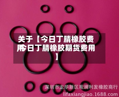 关于【今日丁腈橡胶费用,今日丁腈橡胶期货费用】-第3张图片