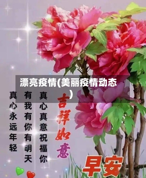 漂亮疫情(美丽疫情动态)-第2张图片