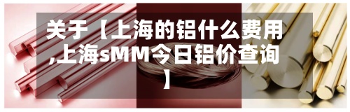 关于【上海的铝什么费用,上海sMM今日铝价查询】-第2张图片