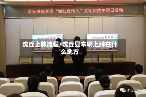 沈丘上牌流程/沈丘县车辆上牌在什么地方-第2张图片