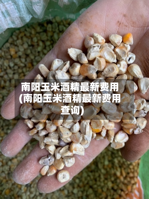 南阳玉米酒精最新费用(南阳玉米酒精最新费用查询)-第2张图片