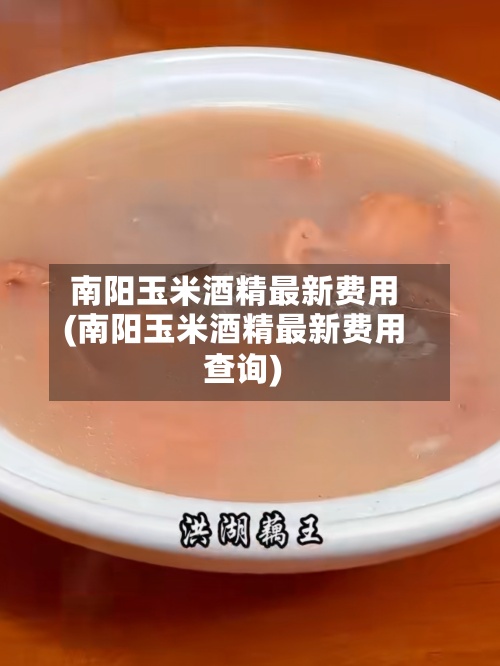 南阳玉米酒精最新费用(南阳玉米酒精最新费用查询)