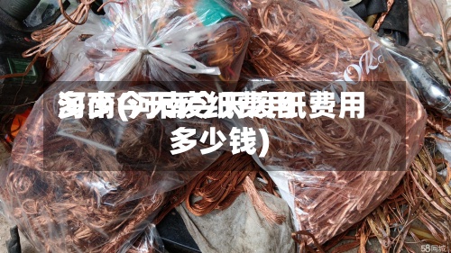 河南今天废纸费用多少(河南今天废纸费用多少钱)-第3张图片