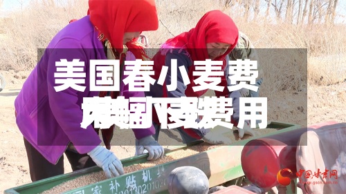 美国春小麦费用/美小麦费用大幅下跌-第2张图片