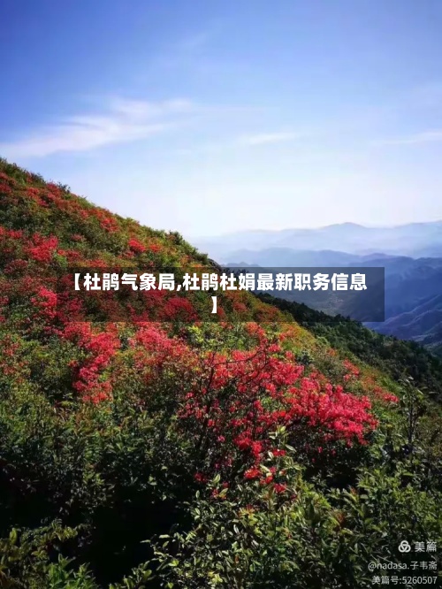 【杜鹃气象局,杜鹃杜娟最新职务信息】-第2张图片