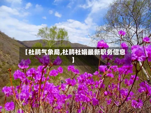 【杜鹃气象局,杜鹃杜娟最新职务信息】-第3张图片
