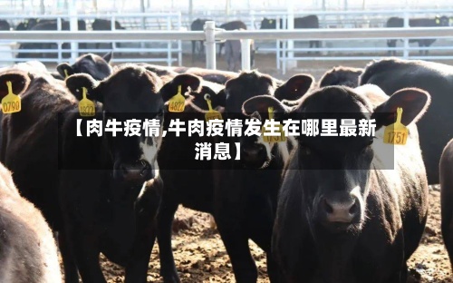 【肉牛疫情,牛肉疫情发生在哪里最新消息】