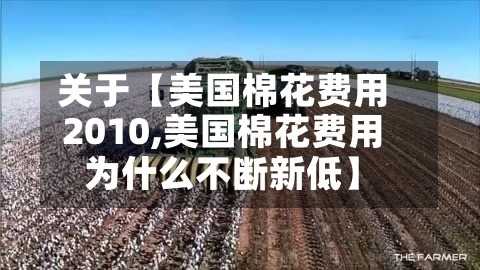 关于【美国棉花费用2010,美国棉花费用为什么不断新低】-第2张图片