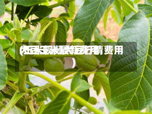 大豆玉米最新费用(玉米视频大豆行情费用)-第3张图片