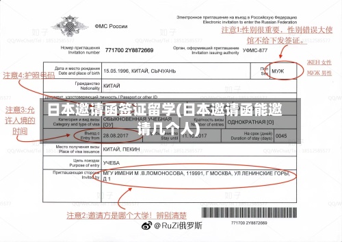 日本邀请函签证留学(日本邀请函能邀请几个人)-第2张图片