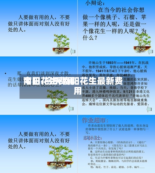 今日花生费用南阳/今天南阳花生最新费用-第3张图片