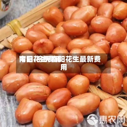 今日花生费用南阳/今天南阳花生最新费用-第2张图片