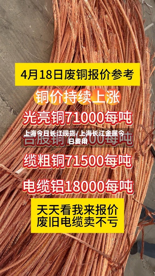 上海今日长江现货/上海长江金属今日费用-第3张图片