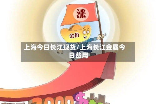 上海今日长江现货/上海长江金属今日费用-第2张图片