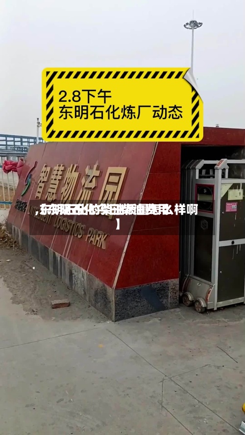 【东明石化今日柴油费用,东明石化的柴油质量怎么样啊】-第3张图片