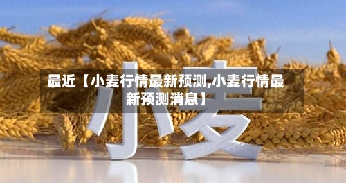最近【小麦行情最新预测,小麦行情最新预测消息】-第2张图片