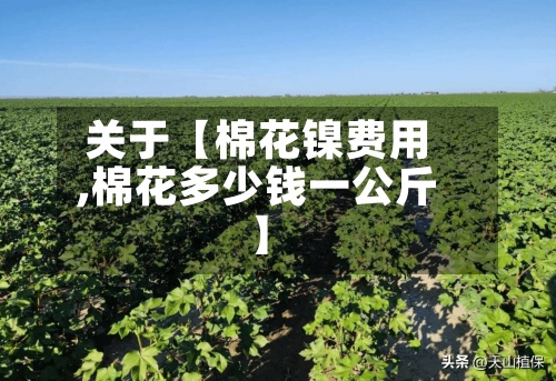 关于【棉花镍费用,棉花多少钱一公斤】
