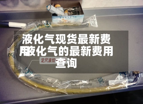 液化气现货最新费用/液化气的最新费用查询