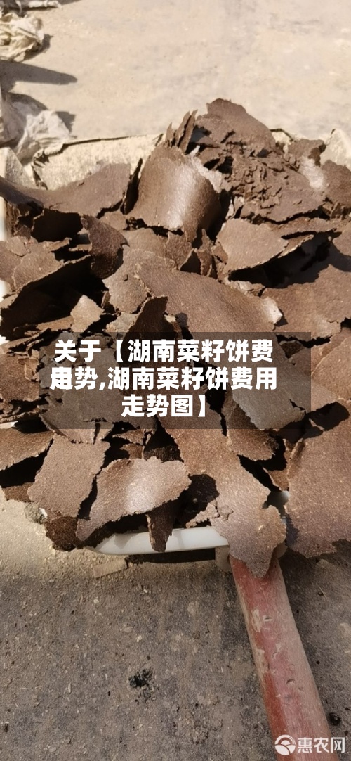 关于【湖南菜籽饼费用走势,湖南菜籽饼费用走势图】