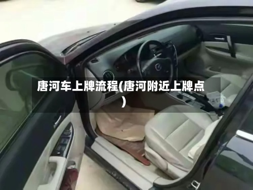 唐河车上牌流程(唐河附近上牌点)
