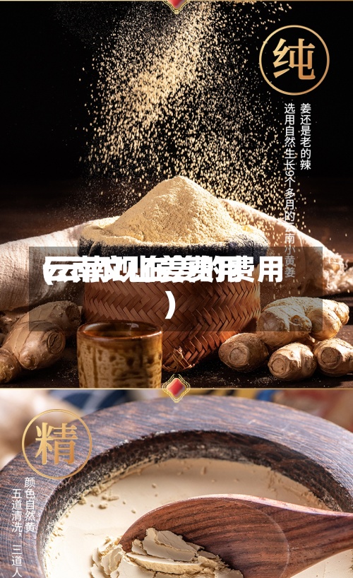 云南文山姜费用
(云南现在姜的费用
)-第2张图片